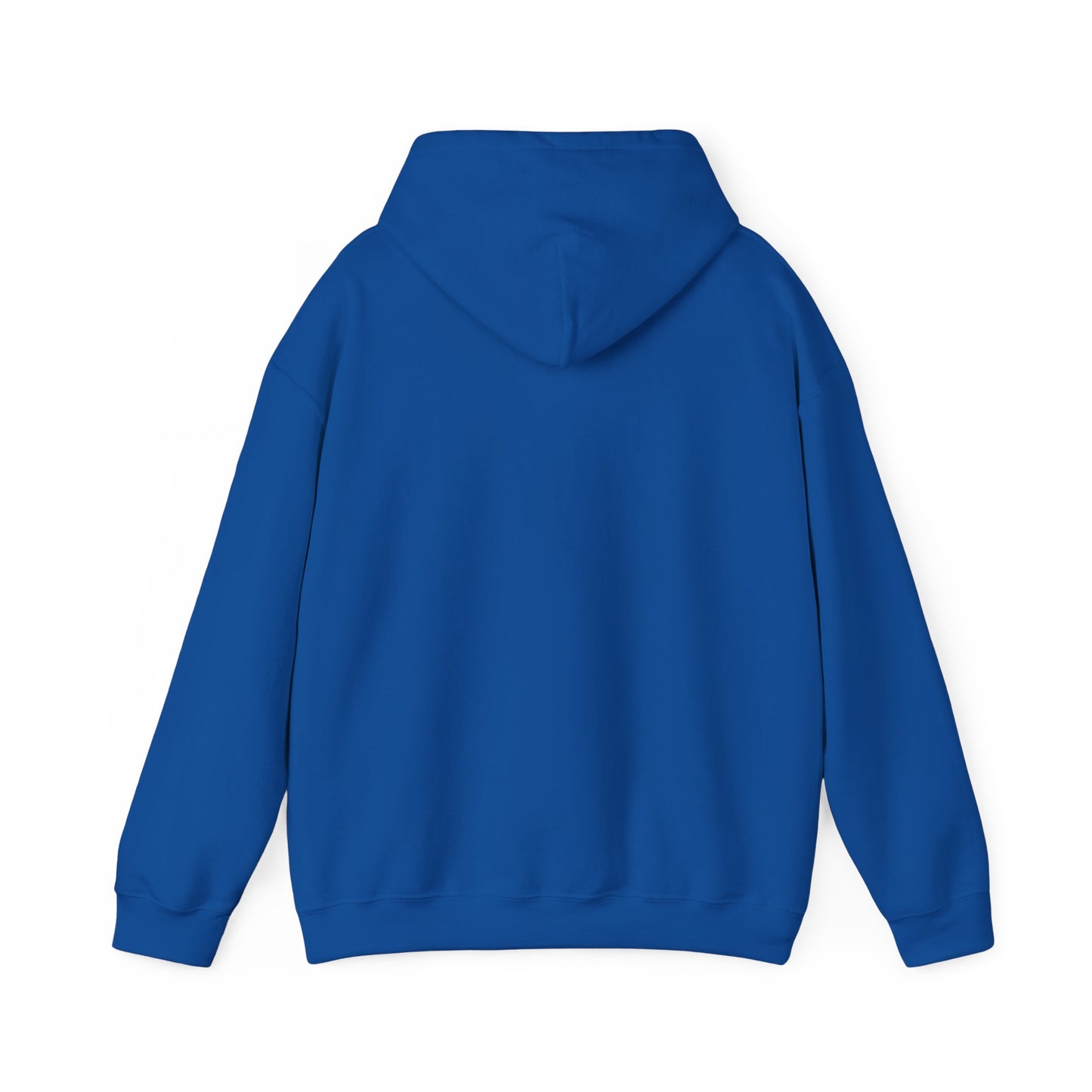 FlickN Colorful Hoodie