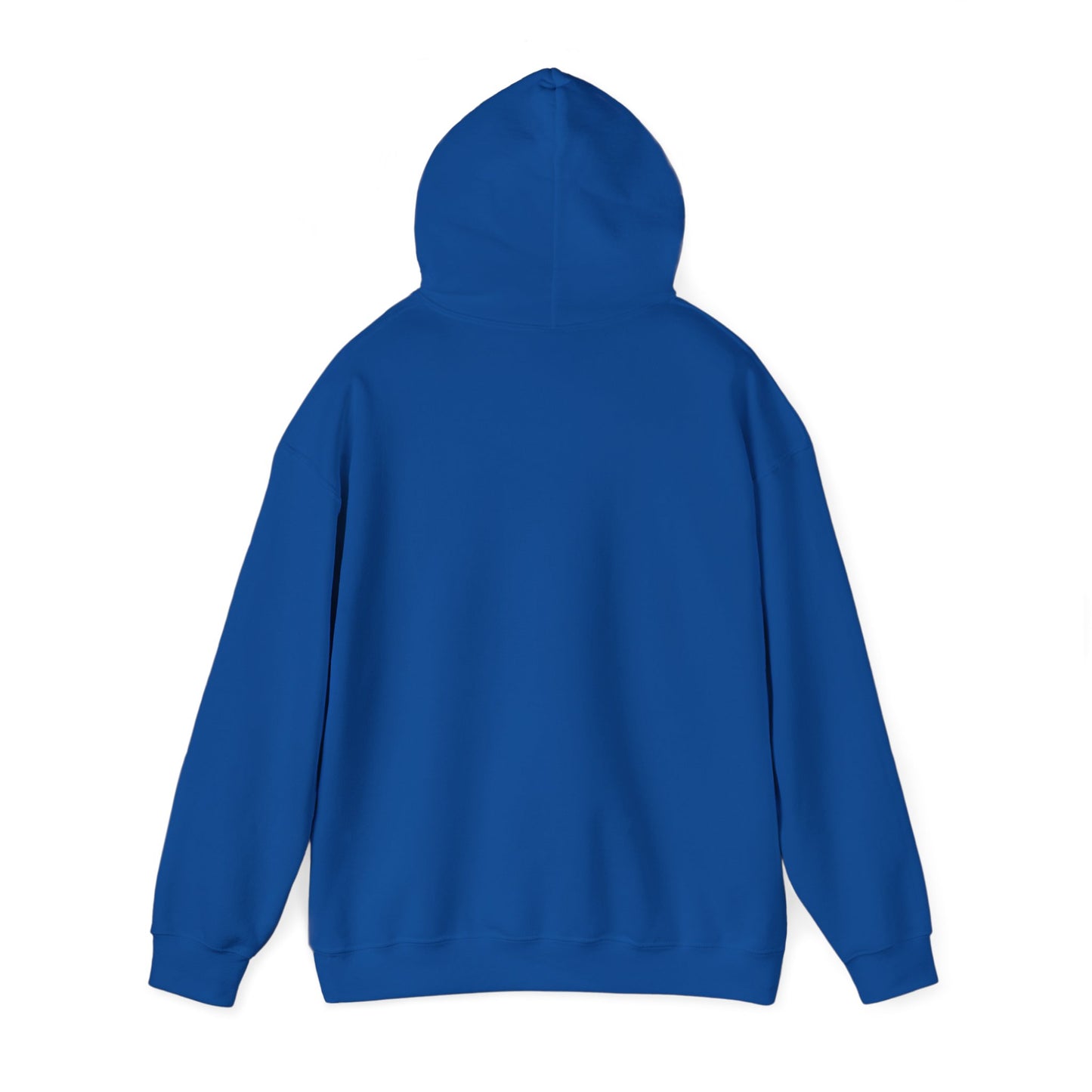 FlickN Colorful Hoodie