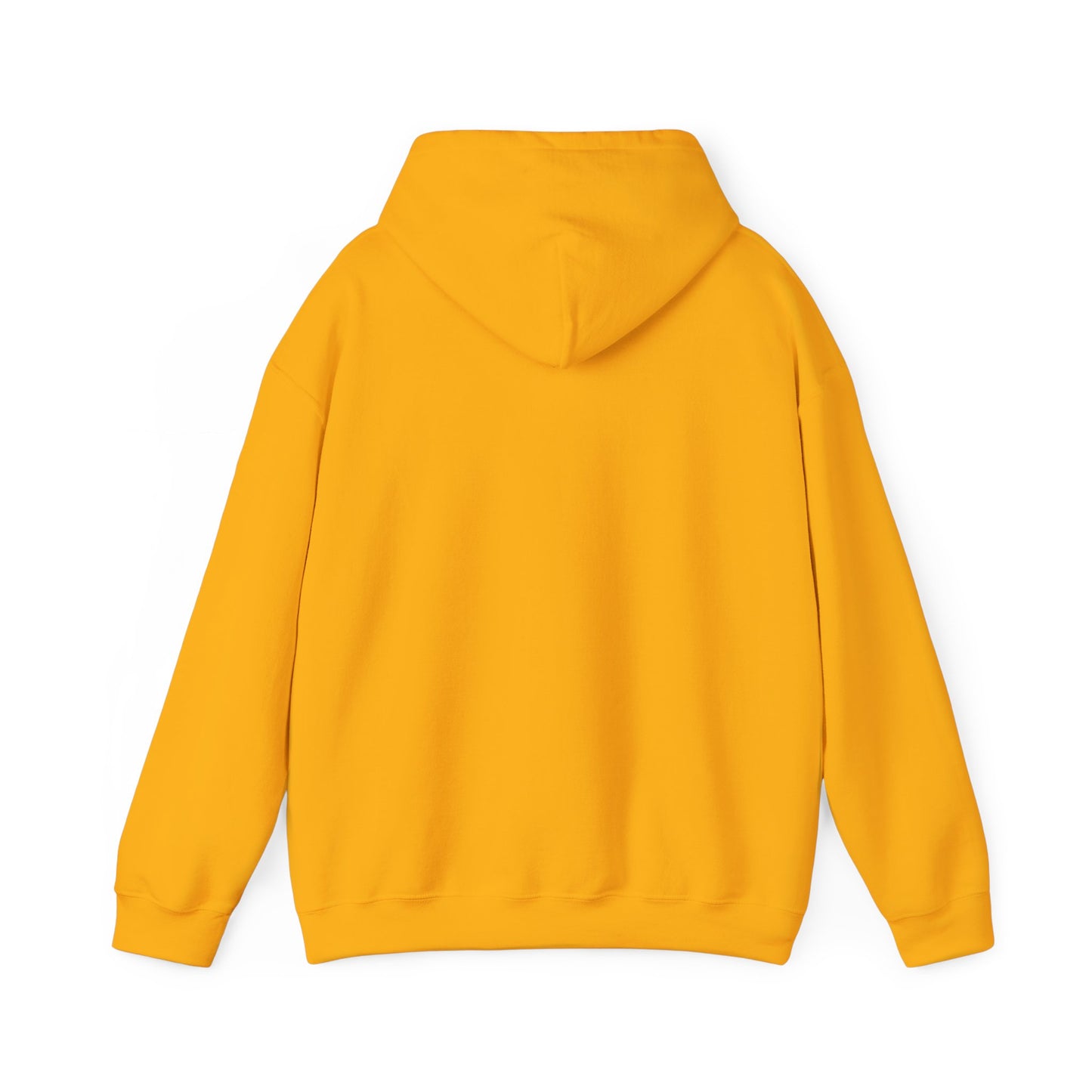 FlickN Colorful Hoodie