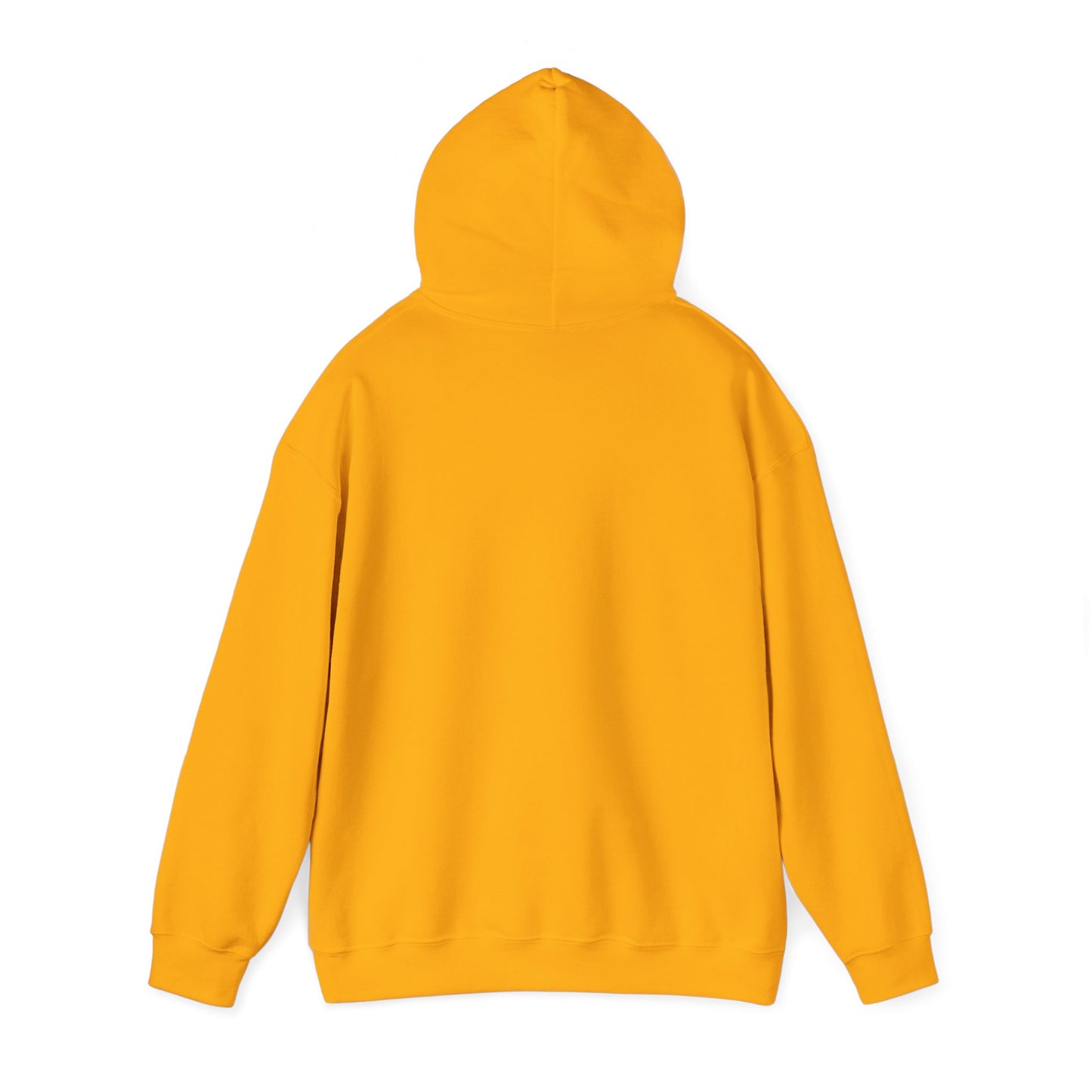 FlickN Colorful Hoodie