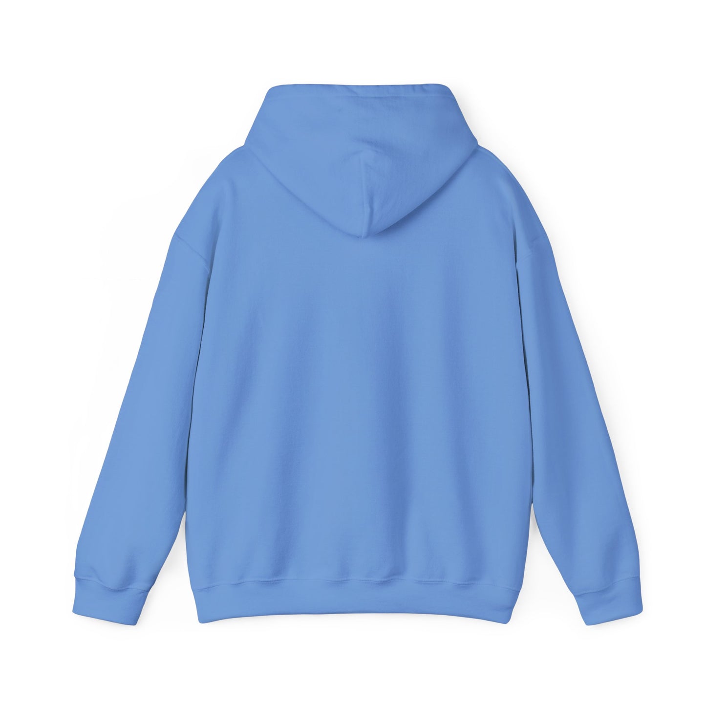 FlickN Colorful Hoodie