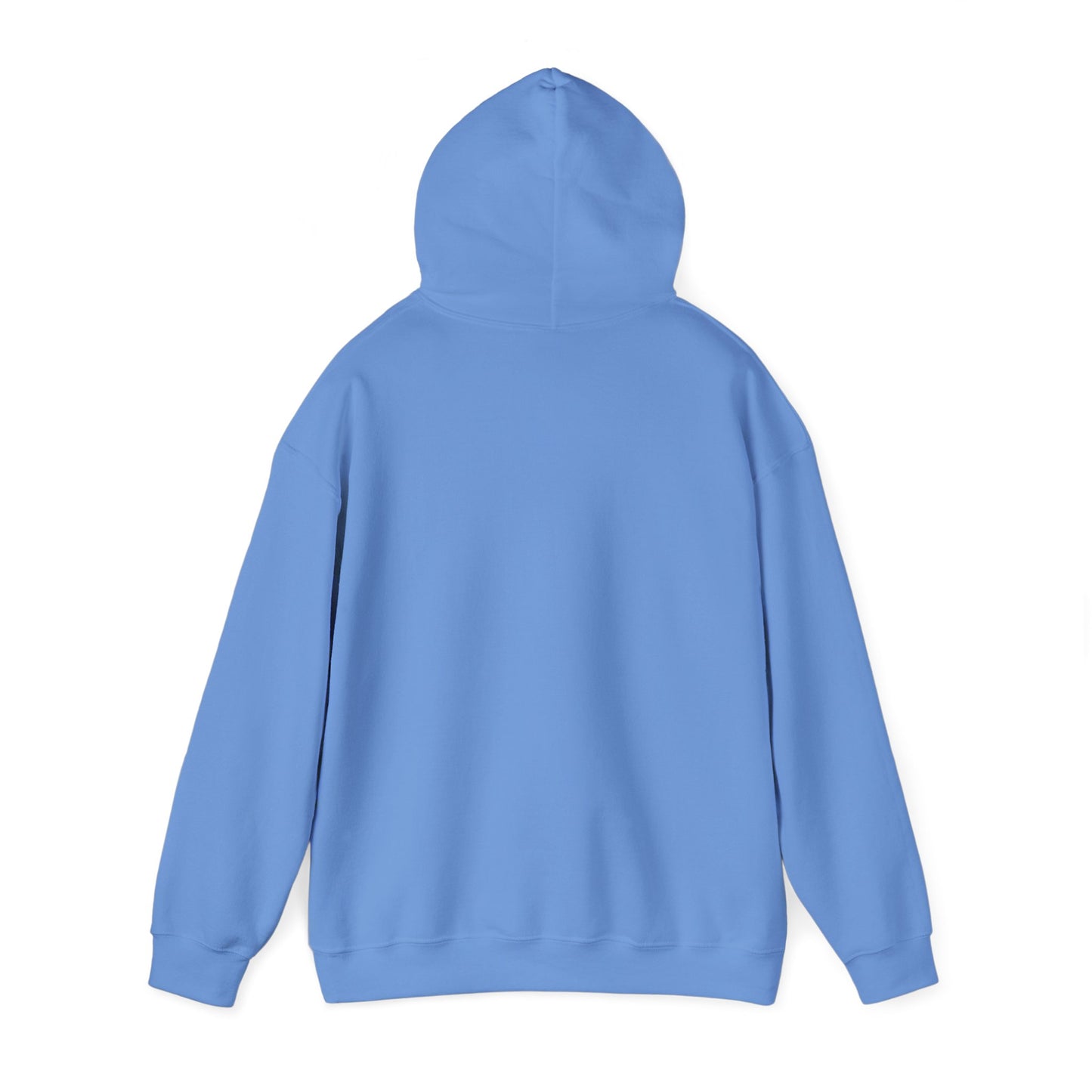 FlickN Colorful Hoodie