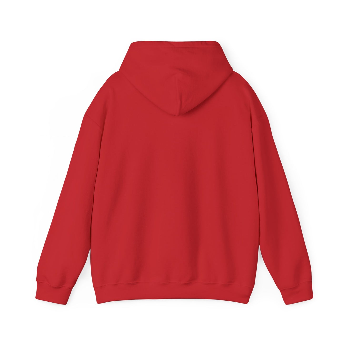 FlickN Colorful Hoodie