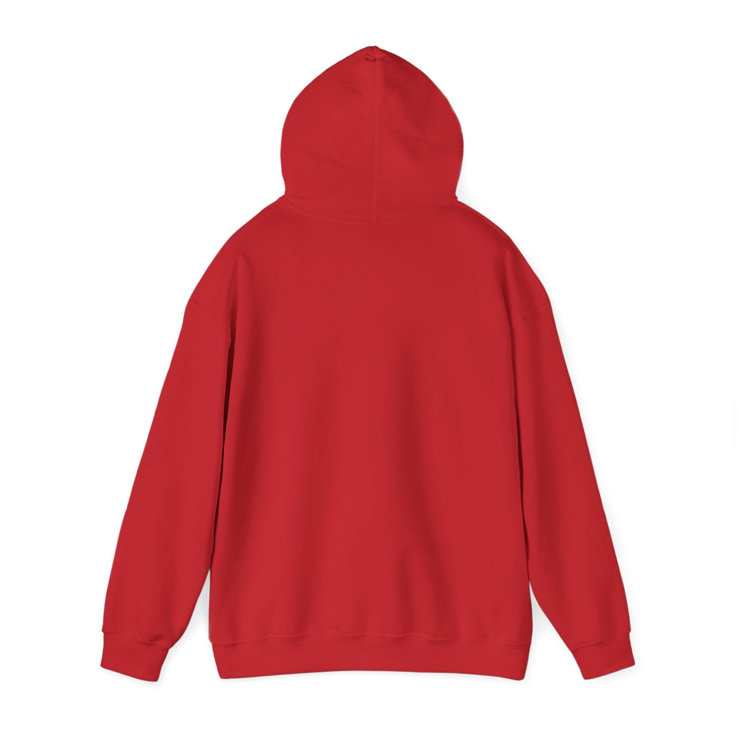 FlickN Colorful Hoodie